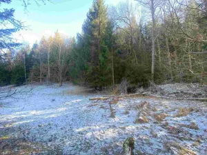 Prodej pozemku, Čachrov - Javorná, 2391 m2