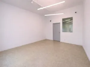 Pronájem skladu, Praha - Nusle, Mojmírova, 165 m2