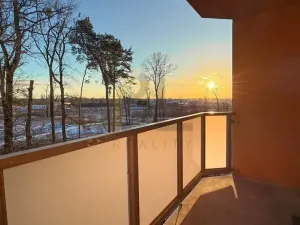 Pronájem bytu 2+1, Hodonín, Lesní, 56 m2