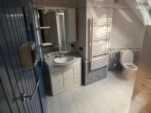 Pronájem rodinného domu, Mariánské Radčice, Dukelských hrdinů, 166 m2