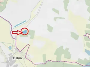 Prodej podílu lesa, Svéradice, 2590 m2