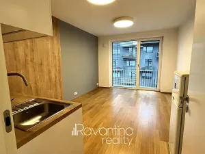 Pronájem bytu 1+kk, Brno, Studentská, 25 m2