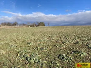 Prodej pozemku pro bydlení, Znojmo - Přímětice, 750 m2