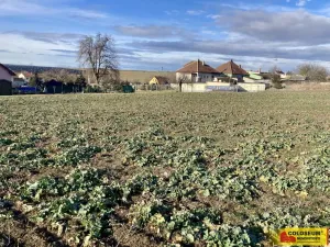 Prodej pozemku pro bydlení, Znojmo - Přímětice, 750 m2