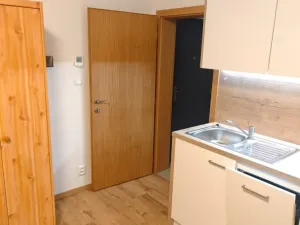 Pronájem bytu 1+kk, Plzeň - Skvrňany, Domažlická, 25 m2