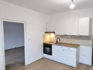Pronájem bytu 1+1, Teplice - Trnovany, U Vlastního krbu, 39 m2