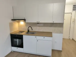 Pronájem bytu 1+1, Teplice - Trnovany, U Vlastního krbu, 39 m2