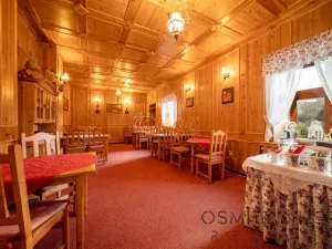 Prodej ubytování, Vikýřovice, Petrovská, 1063 m2