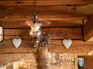 Prodej ubytování, Vikýřovice, Petrovská, 1063 m2