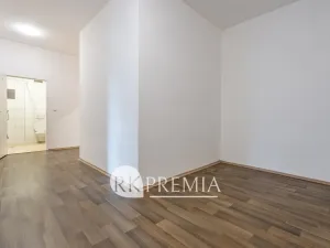 Pronájem bytu 3+1, Teplice, U Hadích lázní, 115 m2