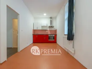 Pronájem bytu 3+1, Teplice, U Hadích lázní, 115 m2