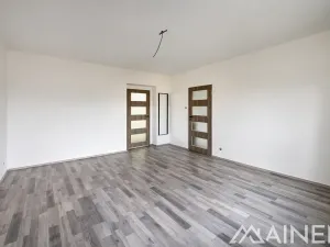 Pronájem bytu 1+1, Plzeň, Lazaretní, 50 m2