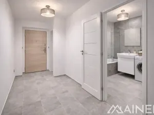 Pronájem bytu 1+1, Plzeň, Lazaretní, 50 m2