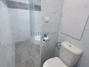 Pronájem bytu 2+1, Ústí nad Labem - Severní Terasa, Svojsíkova, 54 m2