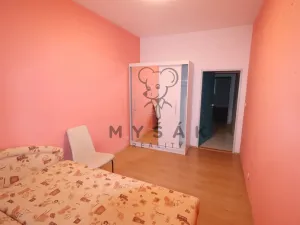 Pronájem bytu 3+1, České Budějovice - České Budějovice 3, Fráni Šrámka, 58 m2