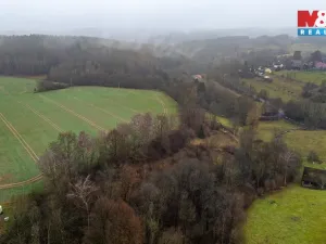 Prodej louky, Bílá - Hradčany, 6046 m2