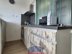 Pronájem bytu 1+kk, České Budějovice, Puklicova, 21 m2