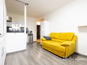 Pronájem bytu 2+kk, Praha - Karlín, Nekvasilova, 40 m2
