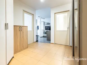 Pronájem bytu 2+kk, Praha - Karlín, Nekvasilova, 40 m2