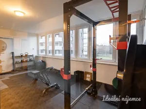 Pronájem bytu 2+kk, Praha - Karlín, Nekvasilova, 40 m2