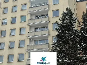 Prodej bytu 1+kk, Teplice, Přítkovská, 31 m2