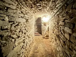 Prodej rodinného domu, Kostelec nad Orlicí, Kamenečná, 99 m2