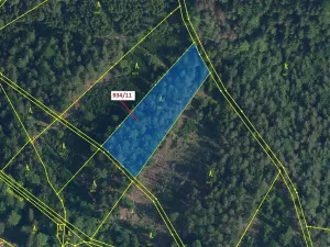 Dražba lesa, Jílové u Držkova, 3439 m2