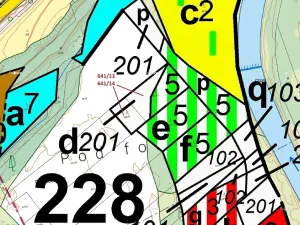 Dražba lesa, Rabí, 1958 m2