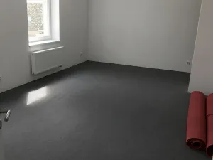 Prodej rodinného domu, Velká Bíteš, Kostelní, 335 m2