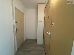 Pronájem bytu 1+kk, Bílina - Pražské Předměstí, Alšova, 27 m2