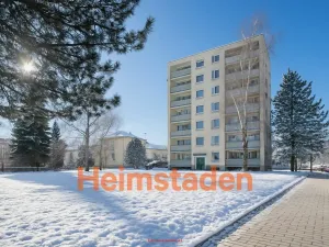 Pronájem bytu 1+1, Karviná - Nové Město, Závodní, 41 m2