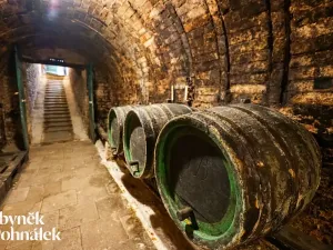 Prodej vinného sklepa, Hovorany, 69 m2