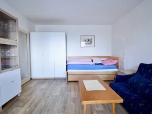 Pronájem bytu 1+1, Brno - Pisárky, Preslova, 35 m2