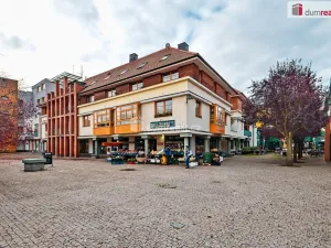 Pronájem bytu 1+kk, Dobřichovice, Palackého, 20 m2