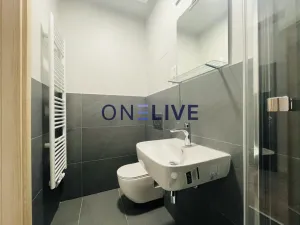 Pronájem bytu 2+kk, Plzeň, Kotkova, 35 m2