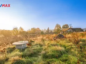 Prodej rodinného domu, Březová-Oleško - Březová, Hlavní, 765 m2