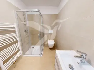 Pronájem bytu 2+kk, Plzeň, Nerudova, 60 m2