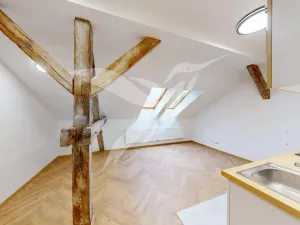 Pronájem bytu 2+kk, Plzeň, Nerudova, 60 m2