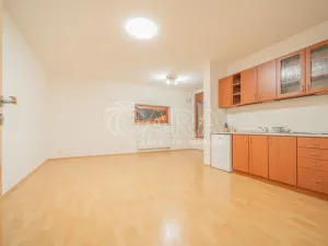 Prodej bytu 1+kk, Praha - Podolí, Jeremenkova, 35 m2