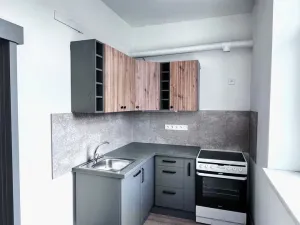 Pronájem bytu 1+kk, Plzeň - Jižní Předměstí, náměstí T. G. Masaryka, 30 m2