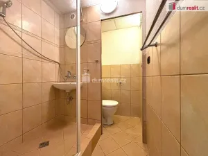 Pronájem bytu 1+1, Sokolov, Křížová, 40 m2