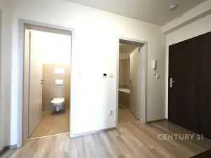 Pronájem bytu 3+kk, Plzeň, Učňovská, 63 m2