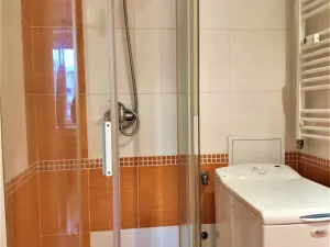 Pronájem bytu 1+kk, Brno - Veveří, Žižkova, 25 m2