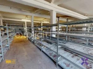 Prodej skladu, Březolupy, 3350 m2