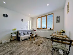 Prodej bytu 1+kk, Plzeň - Doudlevce, Šimerova, 19 m2