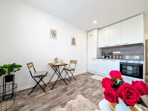 Prodej bytu 1+kk, Plzeň - Doudlevce, Šimerova, 19 m2