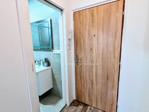 Prodej bytu 1+kk, Plzeň - Doudlevce, Šimerova, 19 m2