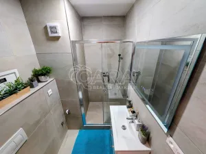 Prodej bytu 1+kk, Plzeň - Doudlevce, Šimerova, 19 m2