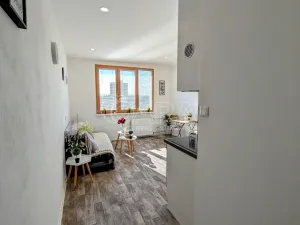 Prodej bytu 1+kk, Plzeň - Doudlevce, Šimerova, 21 m2