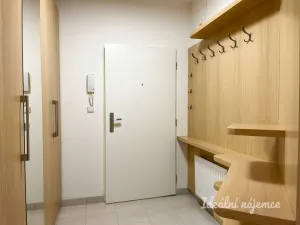 Pronájem bytu 1+kk, Brno - Královo Pole, Božetěchova, 61 m2